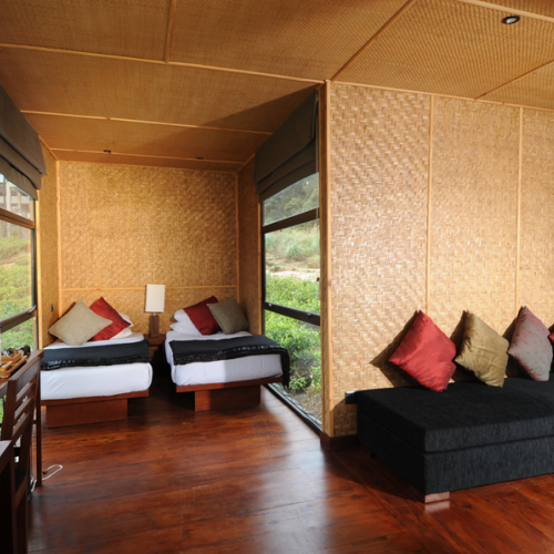 Rainforest Edge Sinharaja Rainforest Edge Sinharaja