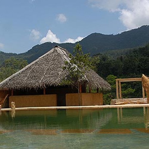 Rainforest Edge Sinharaja Rainforest Edge Sinharaja